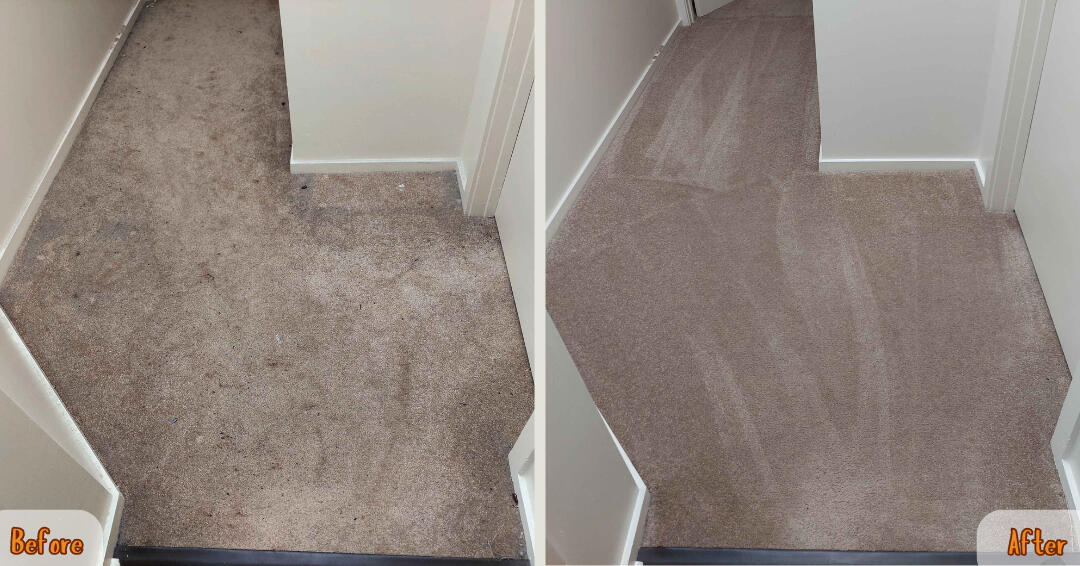 Dirty carpet that was vacuumed.